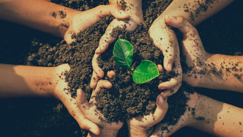 little boy's hand holding a green sapling earth day In the hands of trees planting saplings. Reduce global warming. Love the world concept.